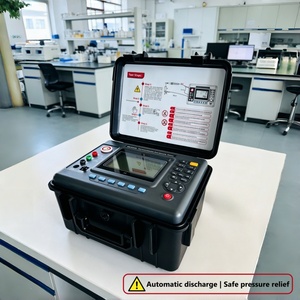 Testeur numérique de résistance d'isolement |   Mégohmmètre numérique haute tension avec écran LCD - Product Image 3