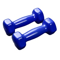 Vente en gros petit haltère 1kg exercice de fitness yoga haltère pour femmes