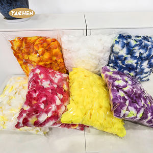 Yachen LED éclairer Hawaii fleur Leis guirlande adulte enfants Hula Luau lueur couronne collier fête d'anniversaire décoration de mariage - Product Image 4