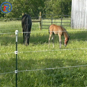 1.33lbs/Ft Mạ Kẽm Hoặc Pvc Sơn Studded Kim Loại <span class=keywords><strong>T</strong></span> Hàng Rào Bài Với Spade - Product Image 4