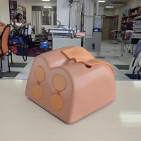 Modèle de simulateur de mannequin pour l'examen de la prostate pour la formation et la pratique médicale