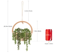 Plantes suspendues artificielles de haute qualité, personnalisables en usine, 2 pièces, simples, pour la décoration murale intérieure/extérieure