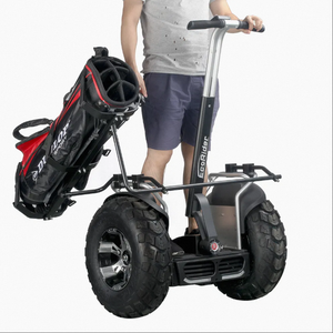 Nuevo Eco-Rider Ce, Scooter Eléctrico Inteligente con Bluetooth, Garantía de 3 Años, Marco de Aluminio Personalizable, Plástico, OBM, OEM, ODM - Product Image 3