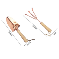 Set 2 pezzi Kit da giardinaggio Mini pala a mano in metallo e rastrello con manico in legno attrezzi da giardino in oro rosa