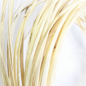 Piel cruda de piel de ratán natural blanca de alta calidad a granel de Viet Delta para uso en muebles y decoraciones navideñas - Product Image 1