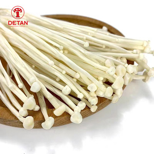 Chine Champignon frais de haute qualité Origine Jamur Enoki - Product Image 1