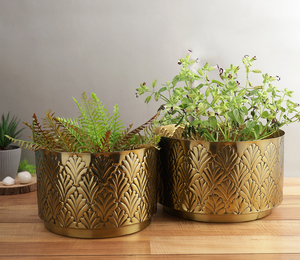 Modern Golden Glossy Metal Planter with Gold Plated Stand <b>for</b> Indoor & Outdoor <b>Plants</b> Home & Office Decor <b>Table</b> Top Floral Pots - Product Image 3