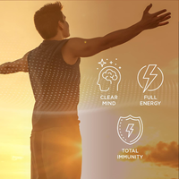 LIFEWORTH Vente en gros de suppléments alimentaires pour la mémoire et la concentration Gommes à mâcher Reishi Lions Mane Mushroom