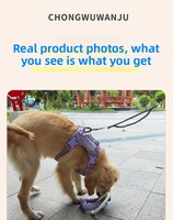 Juguete de Goma para Perros, Juego de Tira y Afloja, con Sonido, Ecológico, Diseño Moderno de Lujo con Cuerda Biodegradable