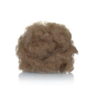 Nouvelle perruque de chameau en laine brute garantie authentique