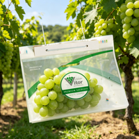 Bolsas de Embalaje para Frutas con Asa Resistente, Fuelle Inferior y Orificios de Ventilación para Almacenamiento y Transporte de Uvas