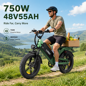 D55 <b>Electric</b> City Bike 750W High Speed 48V55Ah 20" Fat Tire 240km Range OEM Wholesale City Commuter Bike - Product Image 1