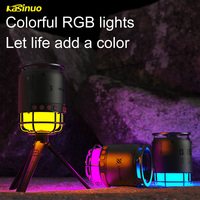 Altoparlante BT Impermeabile IPX5 per Campeggio G03 10W 2000mAh BT5.3 con Luce RGB, Lampada Retrò da Campeggio, Lettore Musicale Portatile per Esterni