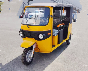 Tricycle Listrik 3 Roda Berkualitas Tinggi Custom 2025 <span class=keywords><strong>Tuk</strong></span> <span class=keywords><strong>Tuk</strong></span> untuk Dewasa Berbahan Baja - Product Image 3
