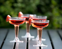 Copas de Vino Desechables de Plástico Transparente al por Mayor (150ml-200ml) para Servicio en Hoteles, Restaurantes, Bares y Eventos/Fiestas de Boda