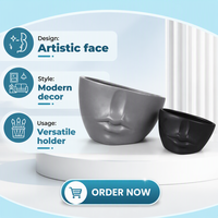 Pot de fleurs en céramique moderne abstrait en forme de visage humain avec finition mate, parfait pour les succulentes, les cactus ou les petites plantes d'intérieur sur étagère ou fenêtre