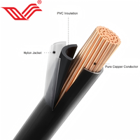 Cable de Cobre con Aislamiento de PVC Retardante de Llama THHN THWN-2 de 2.5mm², 4mm² y 6mm² para Uso Residencial, Suministro de Fábrica