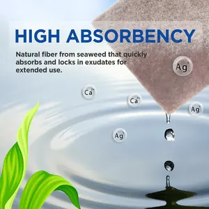 Prodotti per la Cura delle Ferite Mediche Medicazione in Alginato Medicazione in Alginato di Calcio Medicazione Idrocolloidale - Product Image 2