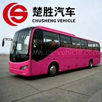 Bus diesel TengLong rose personnalisé de 10,5 m, neuf, conduite à droite, Euro 3, pour le transport de touristes et de passagers en ville