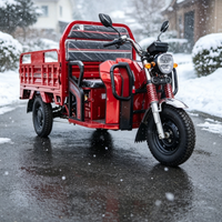 Tricycle électrique homologué CEE, capacité de charge 585 kg, caisse de chargement 1600x1175x550 mm, homologué en Europe, moteur 72V 1500W