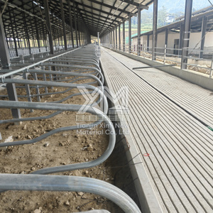 Establo Libre para Vacas de Leche, de Alta Resistencia, Galvanizado en Caliente, Cubículo Personalizado de Una o Dos Filas para Granjas Lecheras - Product Image 4