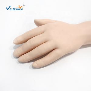 แบบจำลองแขนฝึกหัดฉีดยา (ไม่รวมชุด) แบบจำลองการฉีดยา แบบจำลองแขนฝึกเจาะเลือด ชุดฝึกปฏิบัติ - Product Image 4