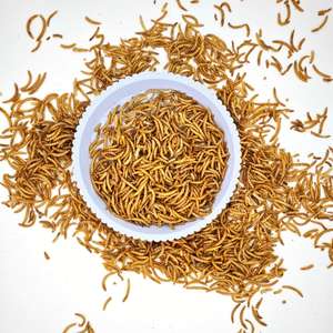 Alimento para Pequenos Animais de Alta Proteína Natural, Vermes de Pão Secos, Mealworm Seco - Product Image 1