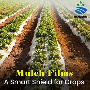 <span class=keywords><strong>Film</strong></span> de paillage agricole personnalisé en gros, <span class=keywords><strong>noir</strong></span> et argenté, pour couverture de sol, <span class=keywords><strong>film</strong></span> <span class=keywords><strong>plastique</strong></span> de serre pour fermes/légumes/jardins - Product Image 5