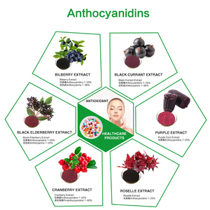 Đen Cơm cháy chiết xuất 15% 25% anthocyanidins Nhà máy cung cấp anthocyanidin Cơm cháy chiết xuất bột - Product Image 5