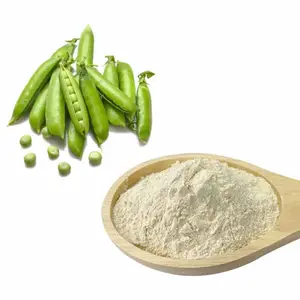 20 KG/BOLSA Ingredientes alimentarios Cas 222400-29-5 Polvo aislado de proteína de guisante