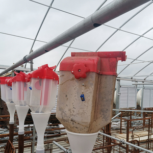 PH Large Capacity Industrial Automatic Gestation Stall Pen Pig Feed Line System | Hog <b>Farm</b> Livestock Conveyor Feeding Equipment - Product Image 1