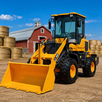 EPA Euro5 Zertifizierter 4WD Radlader Allrad-Frontlader Radlader mit Schaufel für Landwirtschaft/Bauarbeiten