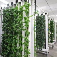 Solutions de jardinage hydroponique à système Zip, non polluantes, fournies par l'usine