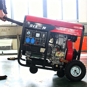 Groupe électrogène BISON (CHINE) 5KW 220V 50HZ de type ouvert - Product Image 1