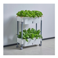 Chariot de jardinage vertical réglable en hauteur pour balcon de maison mobile, avec plateau de culture pour légumes et herbes, roues verrouillables et crochets latéraux
