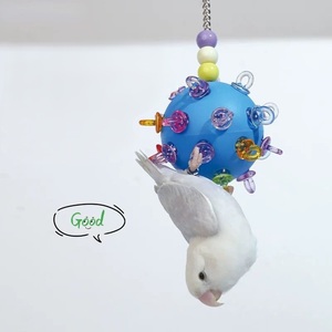 Interaktif komik kuş çiğnemek oyuncak asılı dayanıklı renkli Foraging plastik kuş oyuncak büyük kuşlar için afrika gri papağanlar - Product Image 5