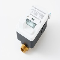 OEM Support DN15 NB-IoT Smart Ultrasonic Water Meters Brass Body Valve Control IP68 R200 Residential Flow Meter