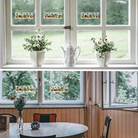 Effectieve Fruitvlieglijmval En Raamsticker Vliegenval Als Huishoudelijke Ongediertebestrijdingsvallen
