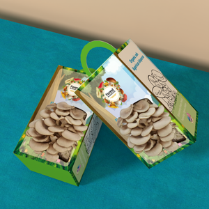 Boîte d'emballage en carton ondulé pour kit <span class=keywords><strong>de</strong></span> culture <span class=keywords><strong>de</strong></span> champignons, boîtes en papier pour la culture <span class=keywords><strong>de</strong></span> champignons d'huître biologiques - Product Image 2