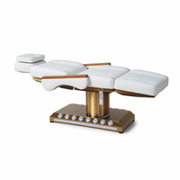 Cama de Belleza Eléctrica de 4 Motores con Reposabrazos de Madera Maciza, Columna Dorada Cepillada, Reposacabezas de Doble Capa para Salón, Spa, Tatuajes, Microblading, Odontología