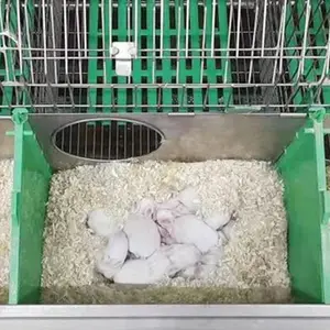 दो स्तरीय वाणिज्यिक खरगोश पालन पिंजरा 24 सेल 18 मादा खरगोश पिंजरे वाणिज्यिक प्रजनन फार्म घरेलू उपयोग