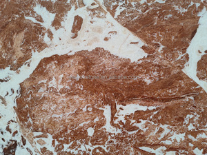 Lastra di pietra di <span class=keywords><strong>marmo</strong></span> di colore <span class=keywords><strong>arancione</strong></span> naturale e piastrelle, <span class=keywords><strong>marmo</strong></span> color salmone - Product Image 2