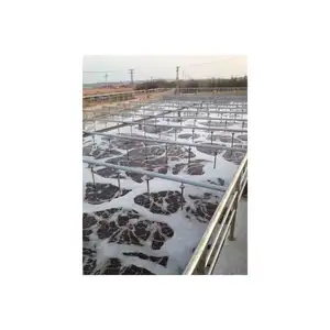 Economic And Reliable Microbubble Aerator Fish Farm Oxygen Diffuser