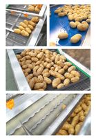 Commerciële Volautomatische Bevroren Fruitchips Aardappelmachine Snijden Frietsnijder Bevroren Frietjes Productielijn