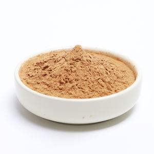 ג 'ינג' ר כולו תמצית ג 'ינג' ר תמצית 20% ג 'ינג' ר תמצית אבקת - Product Image 1