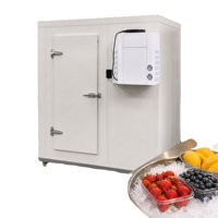 Chambre froide commerciale à haute efficacité en panneaux sandwich PU pour hôtel, supermarché, restaurant