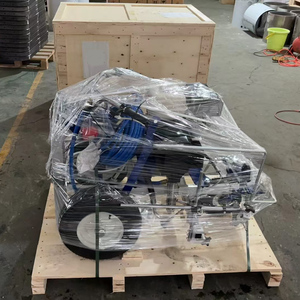 Pompe à diaphragme portable polyvalente et durable CGT pour machine de marquage routier, idéale pour les routes rurales et les chemins de <span class=keywords><strong>village</strong></span> - Product Image 6