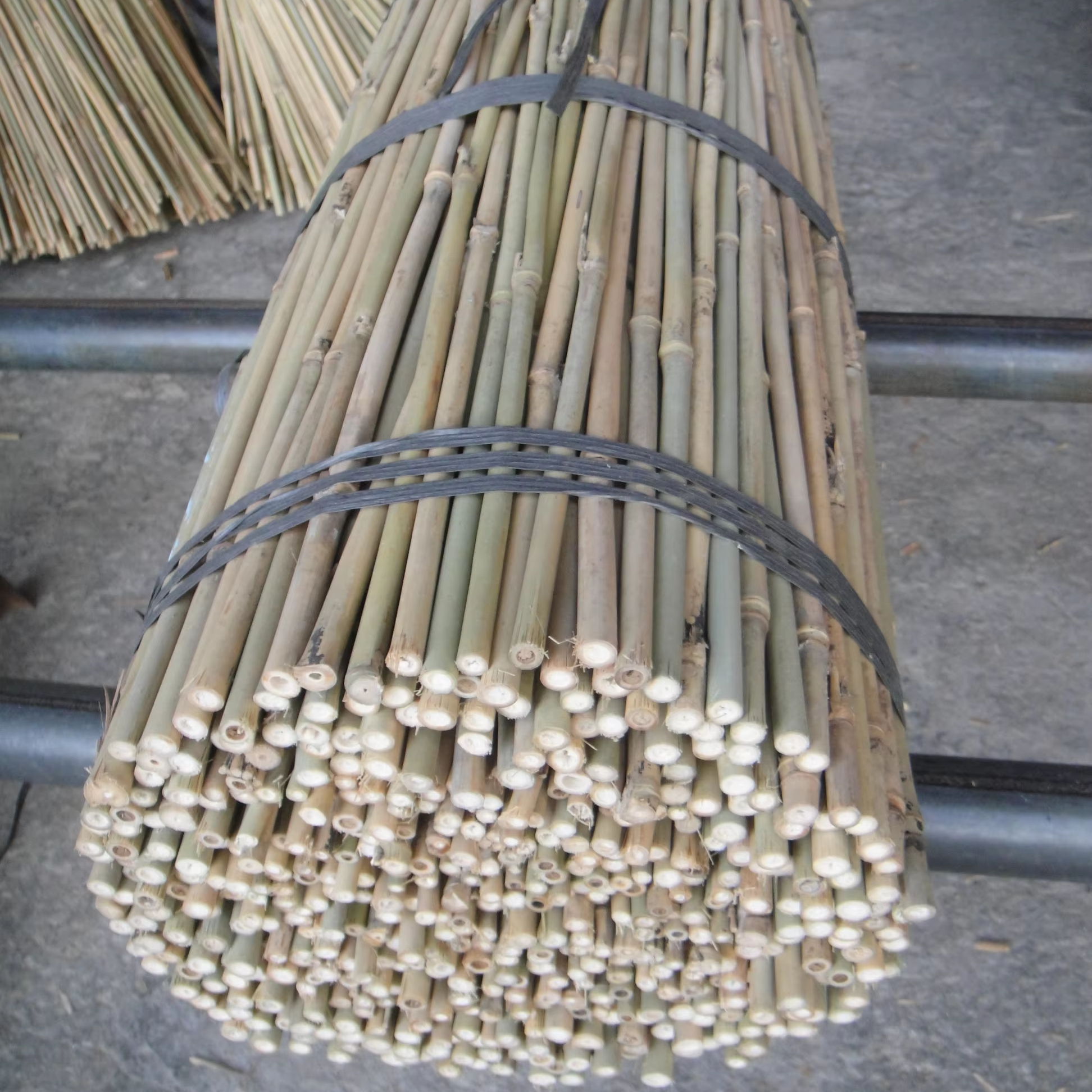 60cm Bamboo Raw Materials for Farm Garden Agriculture