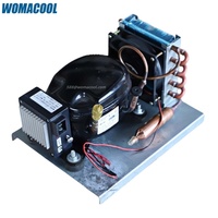 Unité de Condensation Réfrigération R134a BD15HC avec Mini Compresseur 24V/12V CC pour Réfrigérateur de Voiture ou Congélateur Solaire