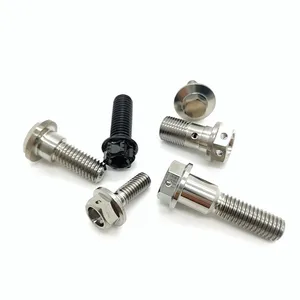 GR5 Titan hợp kim Titan Fastener sử dụng xe gắn máy xe hơi cường độ cao Titanium Bolt và NUT Hex Bolt